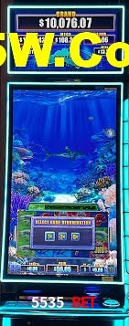 Live Casino 5535 Bet